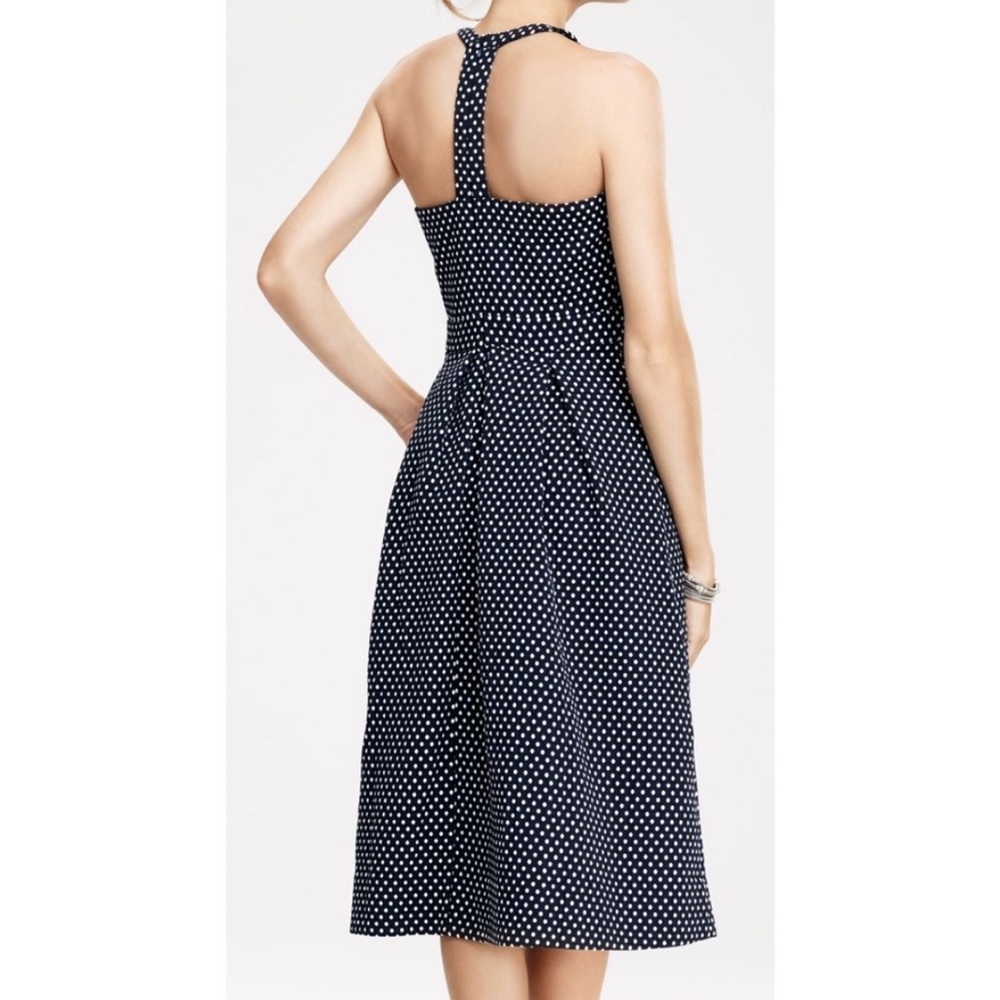 Limited Polka Dot Midi Dress